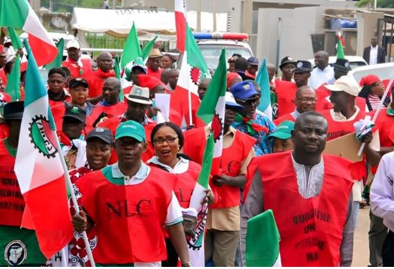NLC Blames FG Over Grid Collapse