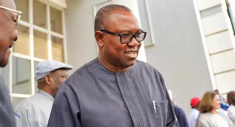 PDP Zoning: Peter Obi