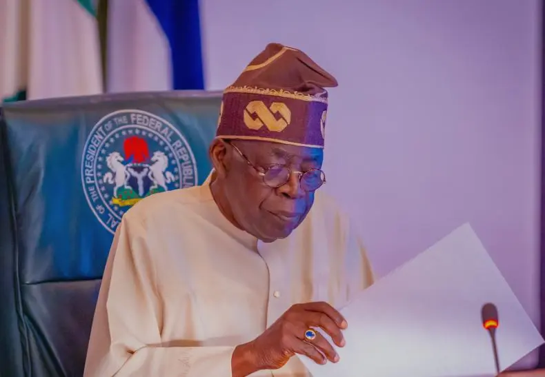 Tinubu Government Defends Fair Distribution of Projects, Appointments