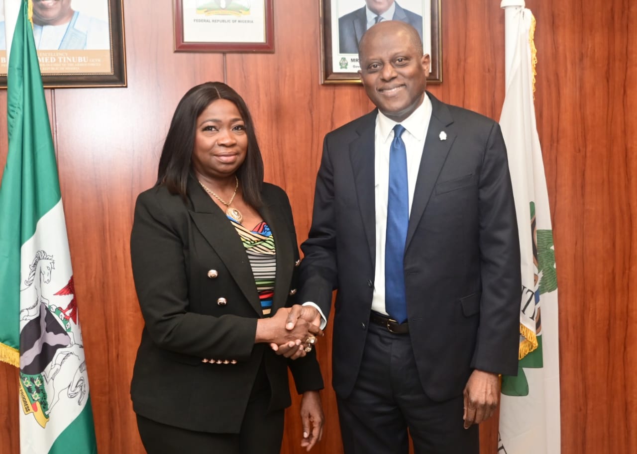 CBN Reforms, Diaspora Trust Driving Remittance Surge - Dabiri-Erewa