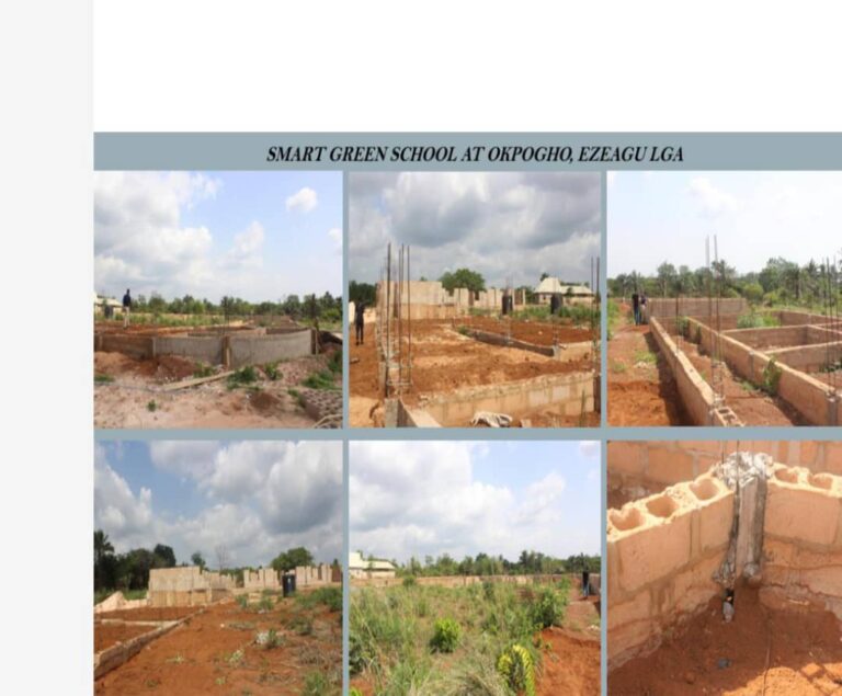Sujimoto CEO’s Defence Rejected as Enugu Pursues N5.7 Billion Recovery
