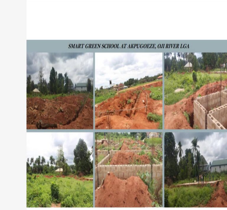Sujimoto CEO’s Defence Rejected as Enugu Pursues N5.7 Billion Recovery