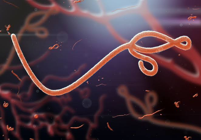 Ebola Outbreak in DR Congo