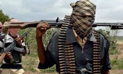 Gunmen Attack Usubu Community in Niger, Kidnap Nursing Mothers